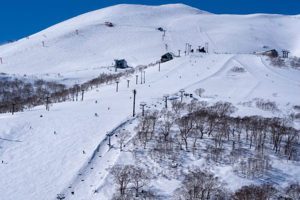Niseko Travel Guide - Hirafu Ski Area
